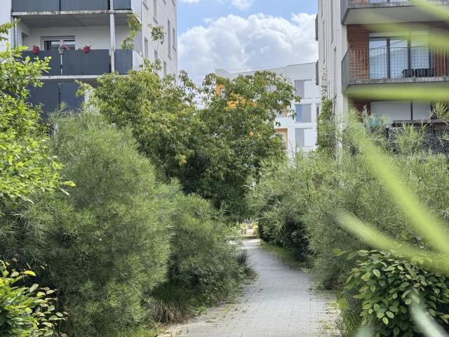 Appartement, Le Petit Quevilly