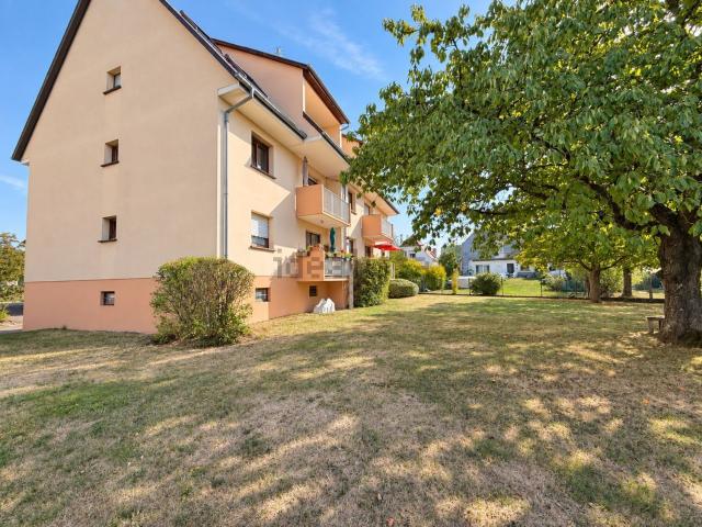 Appartement, Lingolsheim