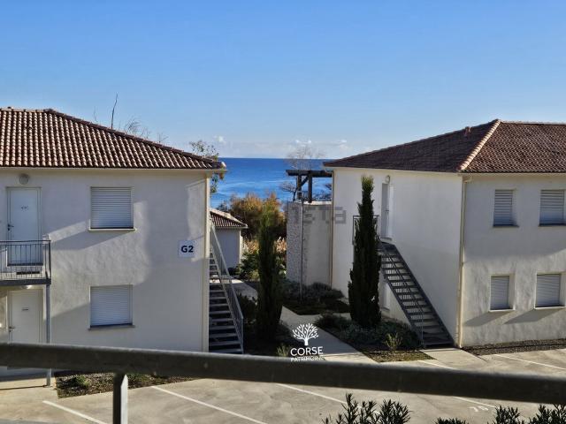 Appartement, Linguizzetta