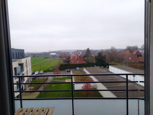 Appartement, Linselles
