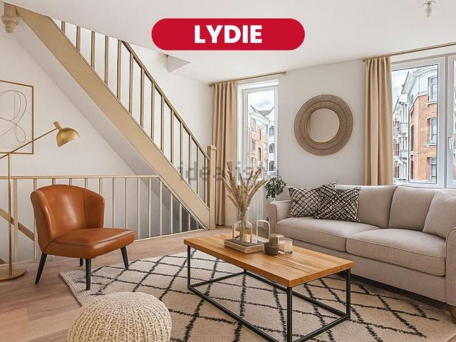 Appartement, Lille