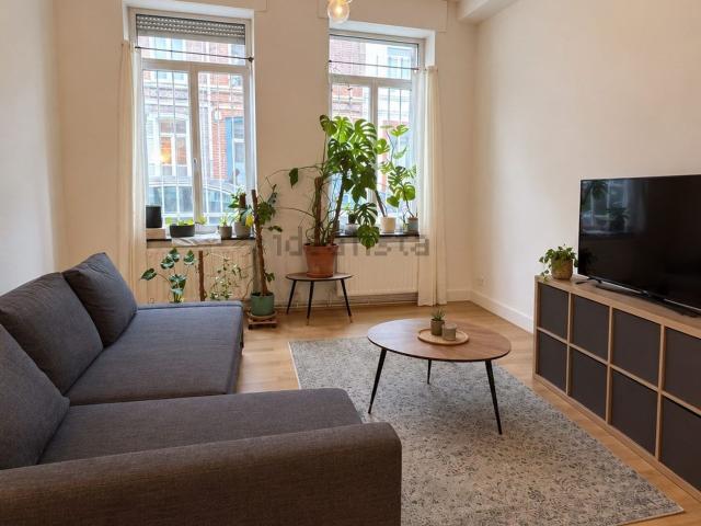 Appartement, Lille