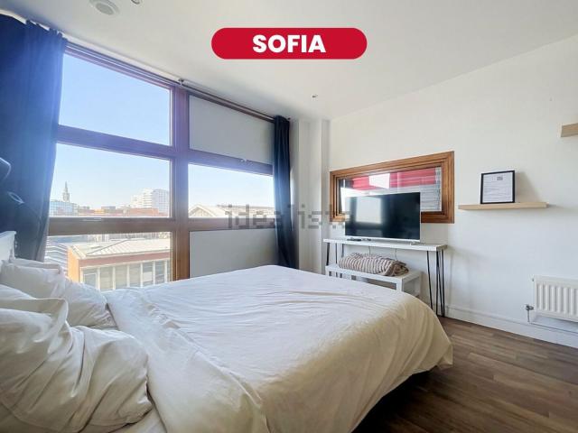 Appartement, Lille