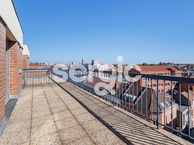 Appartement, Lille
