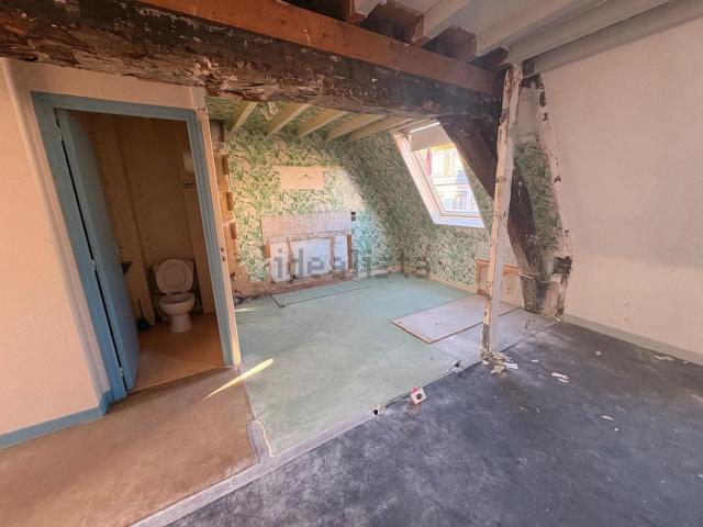Appartement, Lille