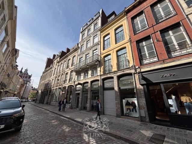 Appartement, Lille