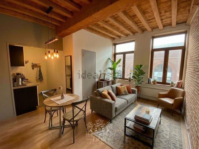 Appartement, Lille