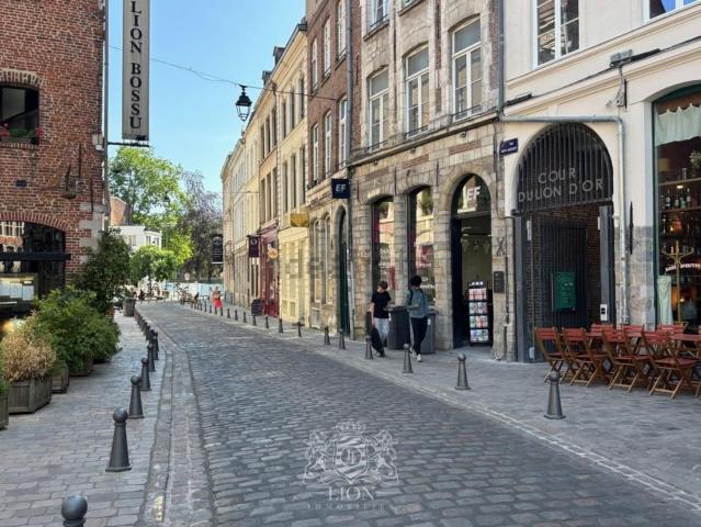Appartement, Lille
