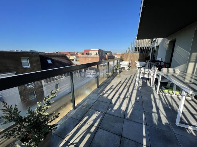 Appartement, Lille