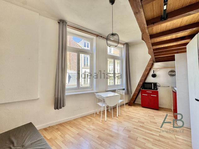 Appartement, Lille