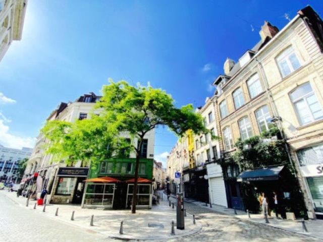 Appartement, Lille