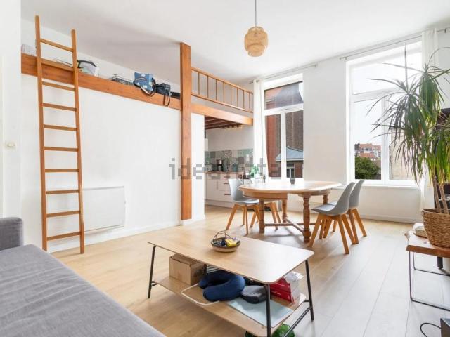 Appartement, Lille