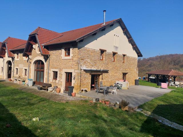 Appartement Longuyon 5 pièce s 274 m2
