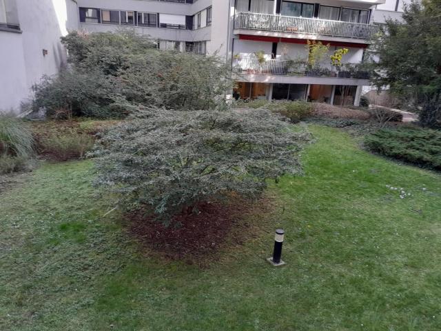 Appartement · Location