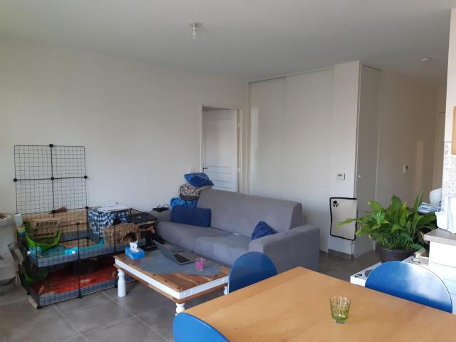 Appartement · Location