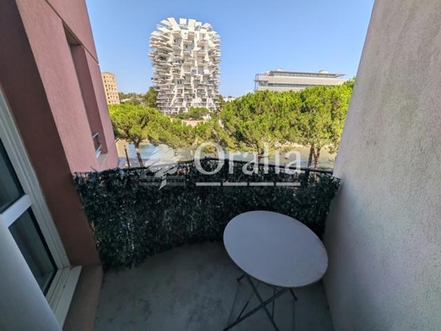 Appartement · Location