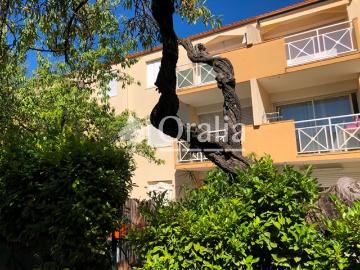 Appartement · Location