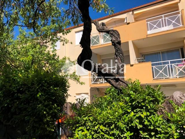 Appartement · Location