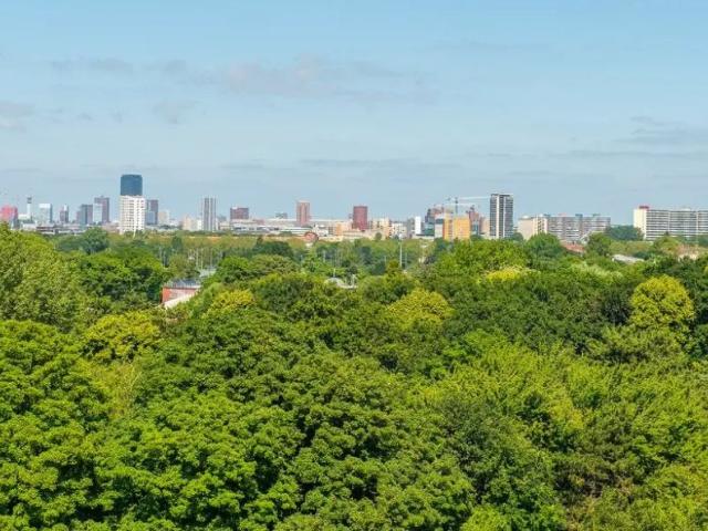 Appartement Loevesteinlaan 383 B, La Haye À louer