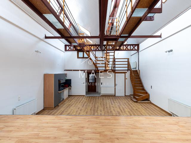 Appartement LOFT en duplex T3 114 m2 2 chambres + garage