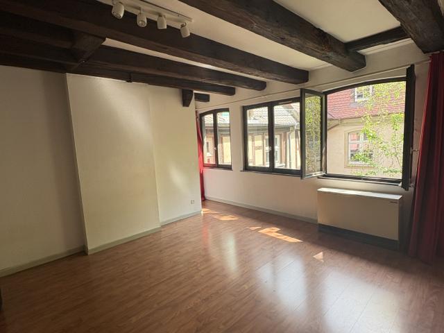 Appartement Loft / F1 de 35m2 au cœur de la Petit France Emplacement exceptionnel