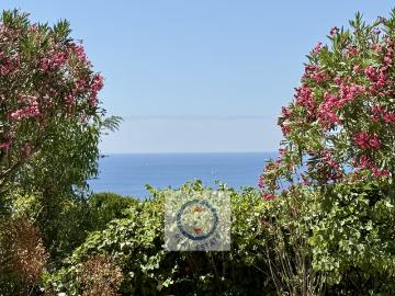 83420, Saint-Michel La Croix-Valmer, Var, Provence-Alpes-Côte dAzur