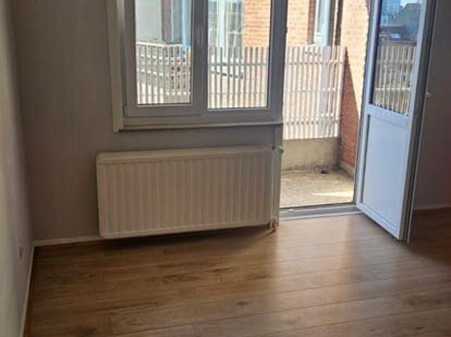 Appartement lumineux 1 chambre + 2 balcons + 1 cave