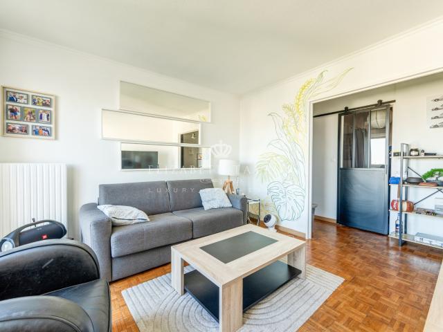 VUE SUR LA TOUR EIFFEL APPARTEMENT LUMINEUX DE 49 m2 AVEC BALCON ET PARKING PRIVATIF
