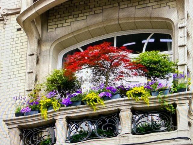 Appartement lumineux de caractère