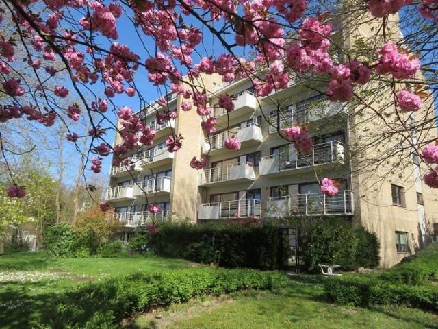 Appartement lumineux et arboré