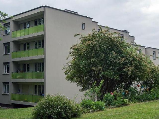 appartement lumineux et moderne à Binningen