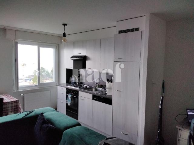Appartement lumineux situé dans un quartier verdoyant