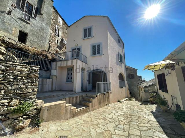 Appartement, Lucciana