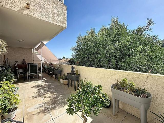 Appartement, Lucciana