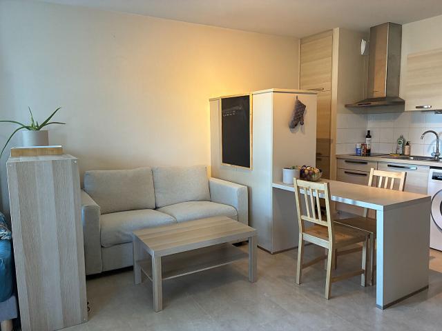 Appartement Lyon 1 pièce s 34 m2