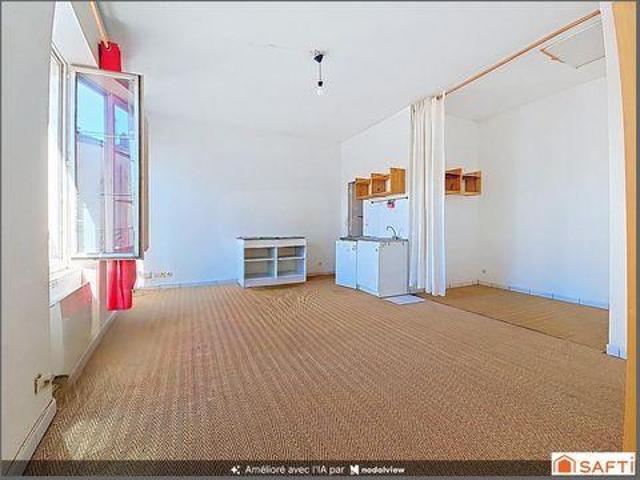 Appartement Lyon 7e Arrondissement Rhône 69007 DS105398677