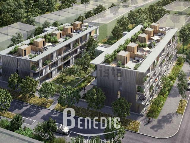 Appartement, Metz