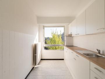 2630, Arrondissement de Anvers, Province de Anvers, Flandre