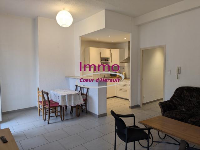 Appartement meublé 3 pièces 62 m²