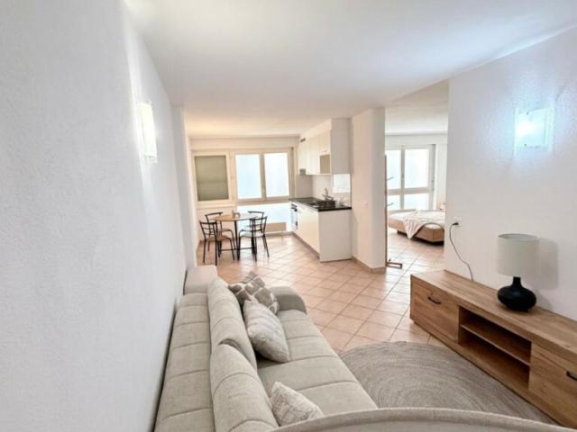 Appartement meublé 1.5 pièce lumineux  Centre Montreux  Location flexible  CH