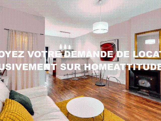 Appartement meublé 1 chambre Lyon 45m2