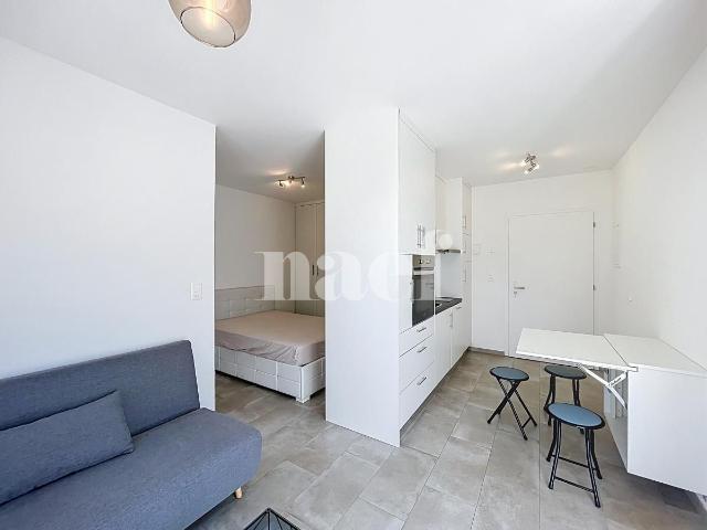 Appartement meublé 1 pce à Echallens