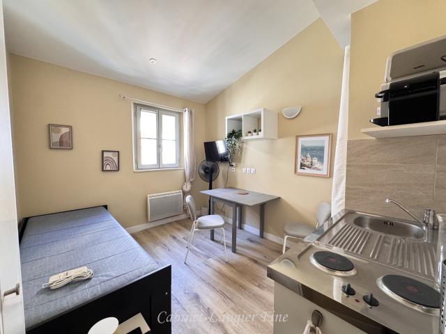 Appartement meublé 1 pièce 17 m²