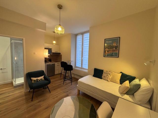 Appartement meublé 1 pièce 18 m²