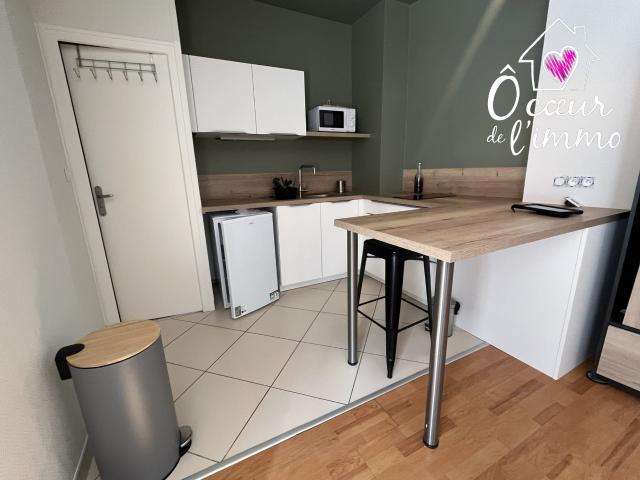 Appartement meublé 1 pièce 23 m²