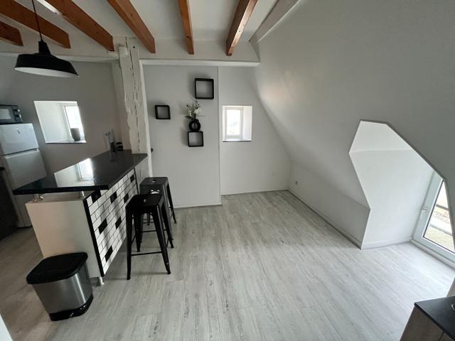 Appartement meublé 1 pièce 20 m²