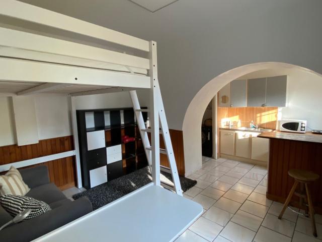 Appartement meublé 1 pièce 20 m²