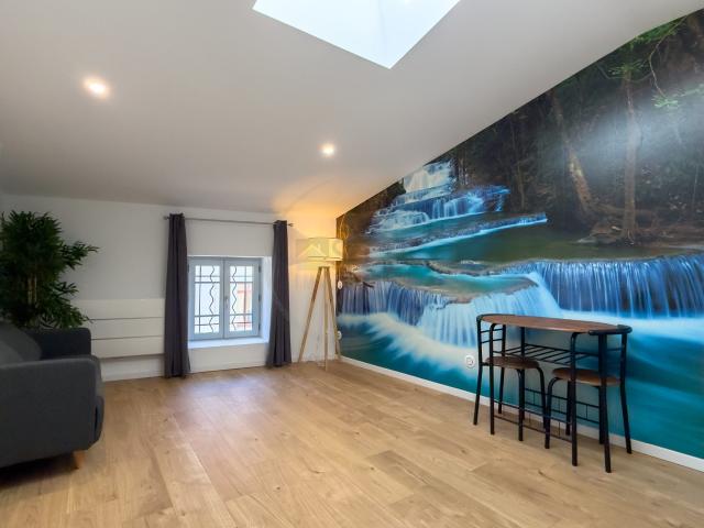 Appartement meublé 1 pièce 20 m²