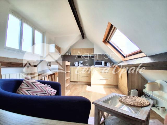 Appartement meublé 1 pièce 21 m²