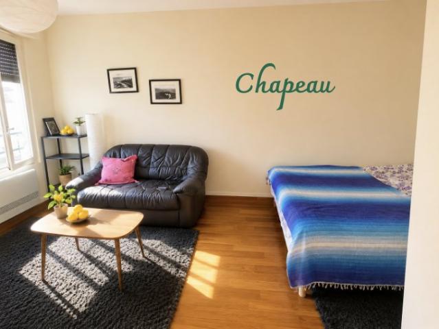 Appartement meublé 1 pièce 27 m²